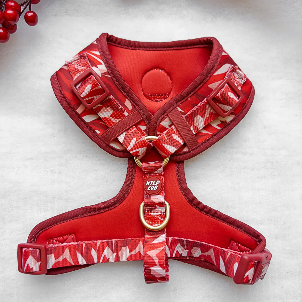 Adjustable Dog Harness: Kew Acer