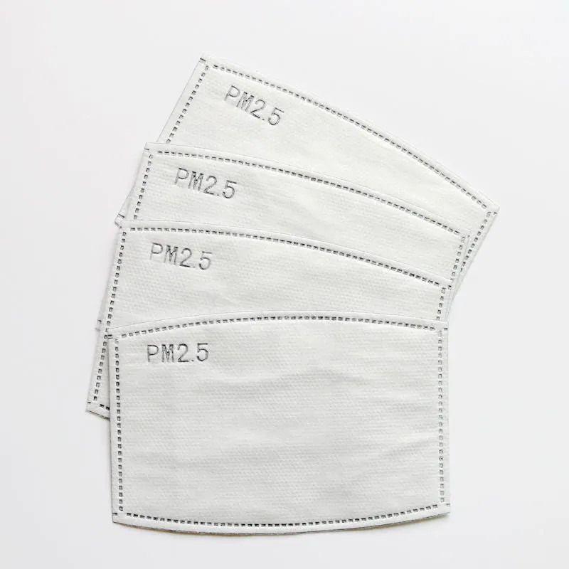 Adult PM2.5 Activated Carbon Filter 5 Layers Replaceable Anti Haze Filter Paper