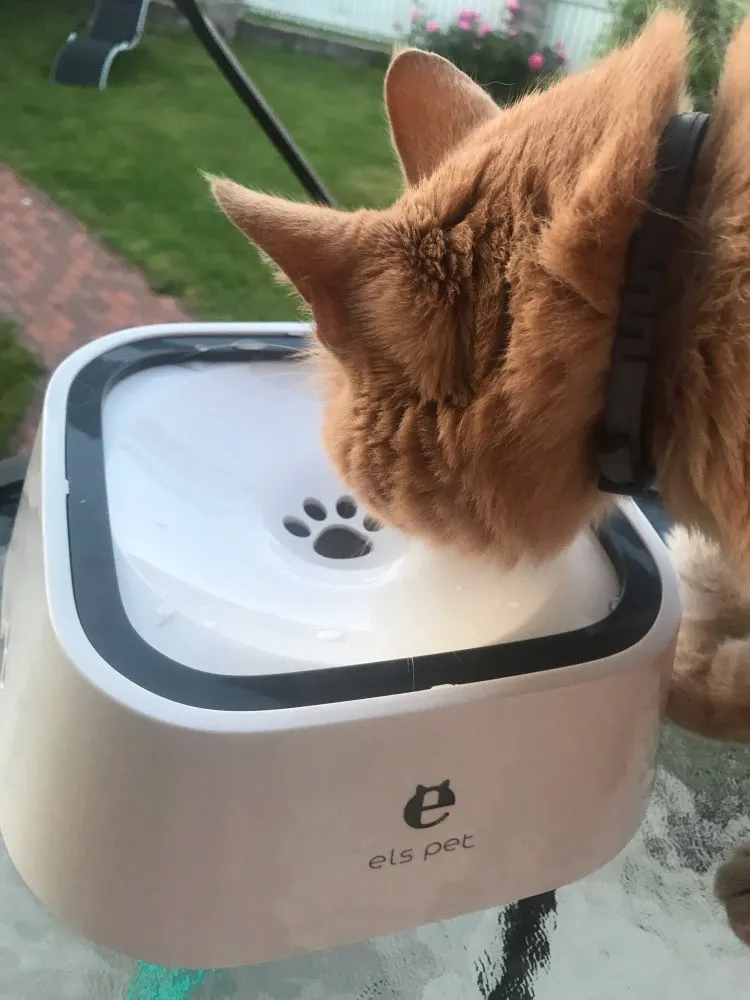 Anti-Spill Smart Water Bowl