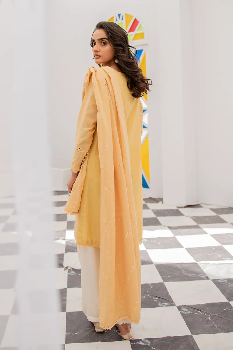 BABY BREATH-2PC (SHIRT & DUPATTA)