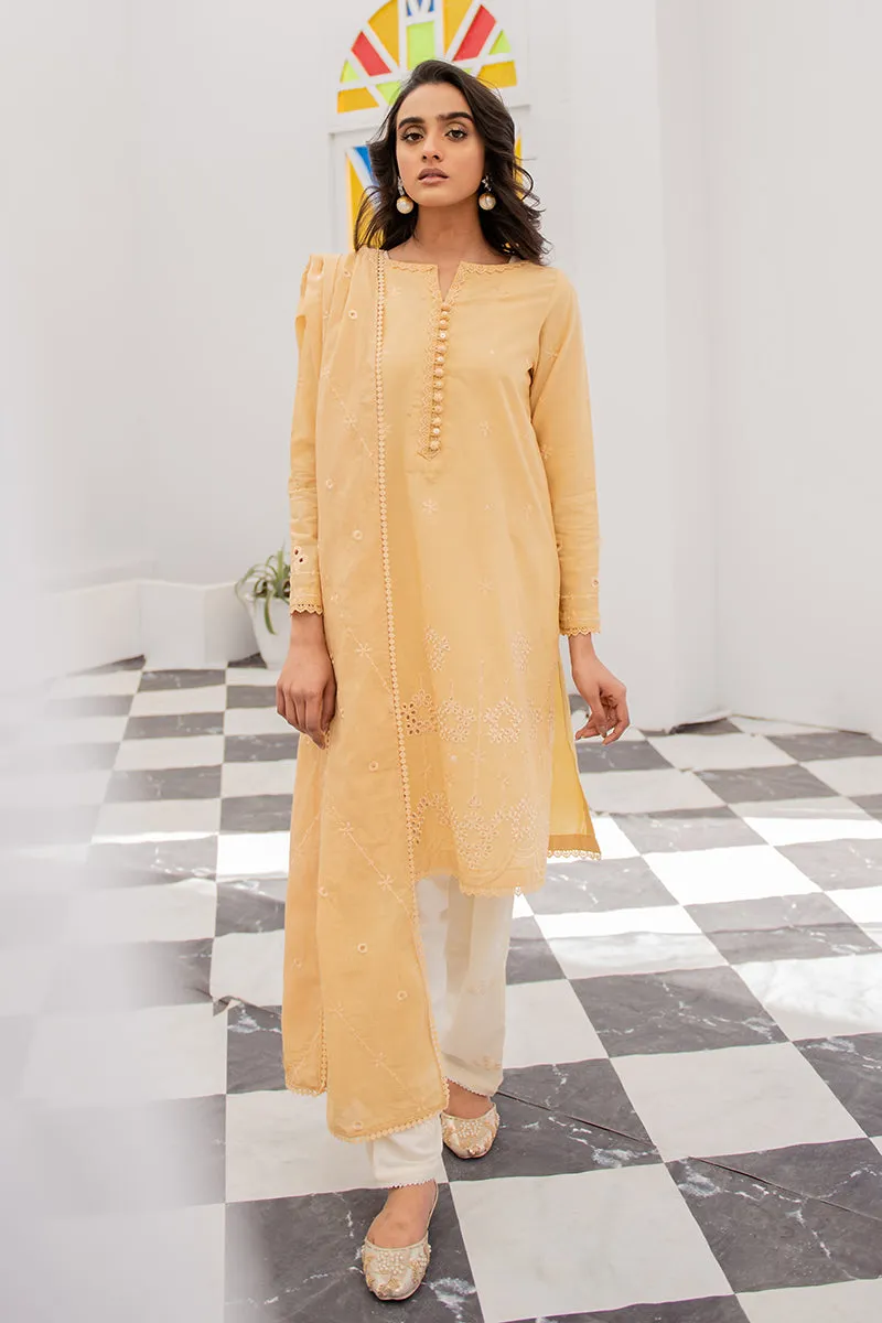 BABY BREATH-2PC (SHIRT & DUPATTA)