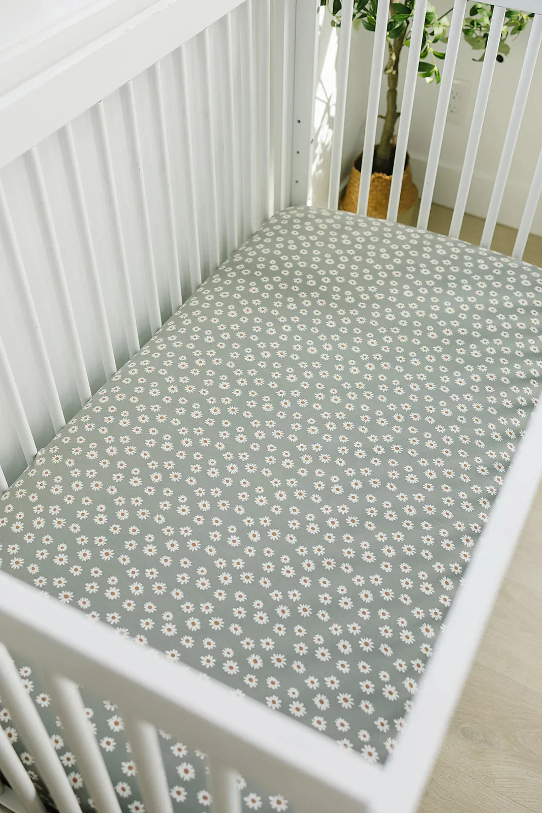Bamboo Stretch Crib Sheet - Light Green Daisy