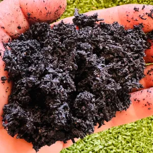 Bioveg Biochar 1kg