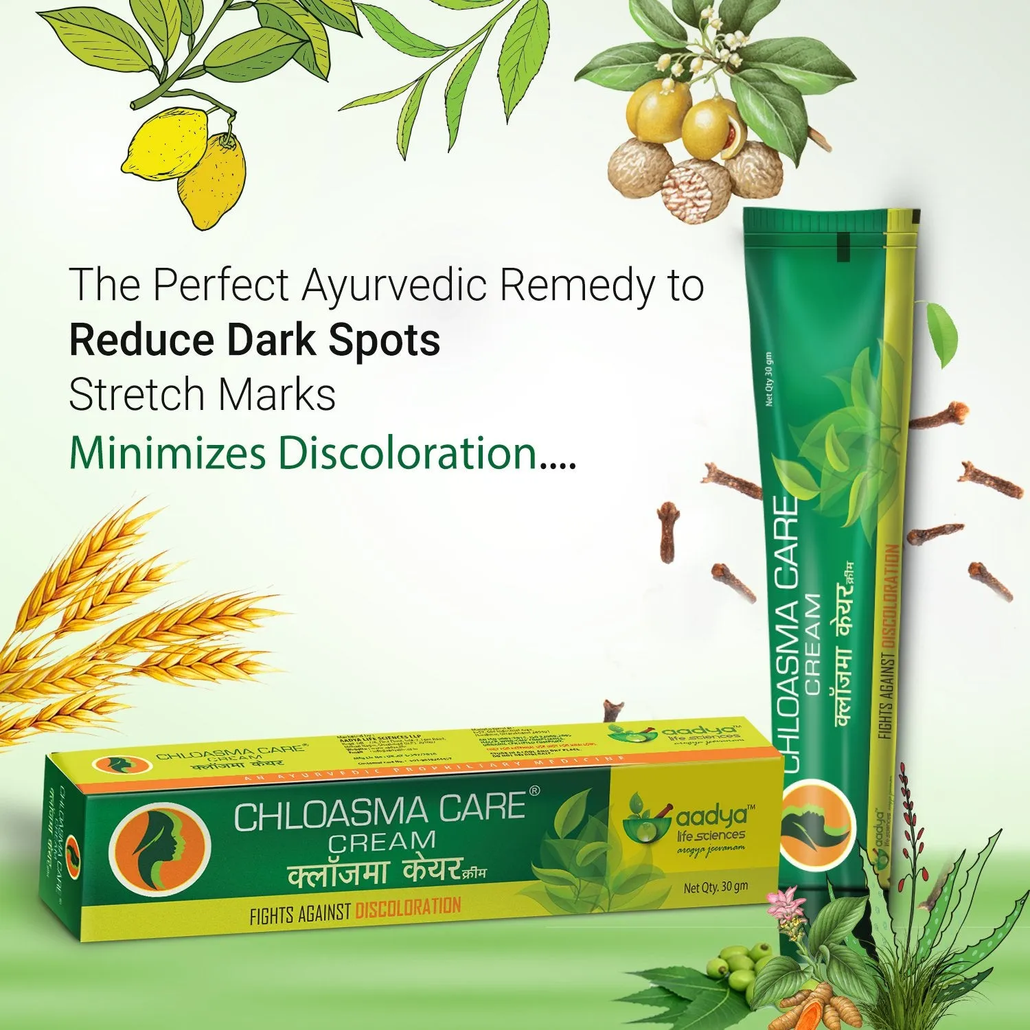 Chloasma Care Herbal Cream for Pigmentation, Discoloration, Blemishes and Stretch Marks