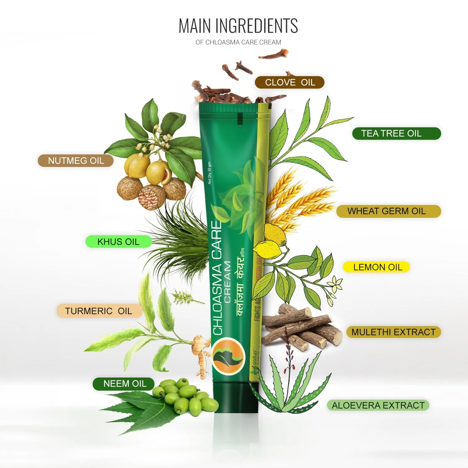 Chloasma Care Herbal Cream for Pigmentation, Discoloration, Blemishes and Stretch Marks