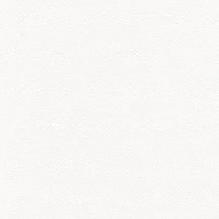 French Terry - White $15.75/yd