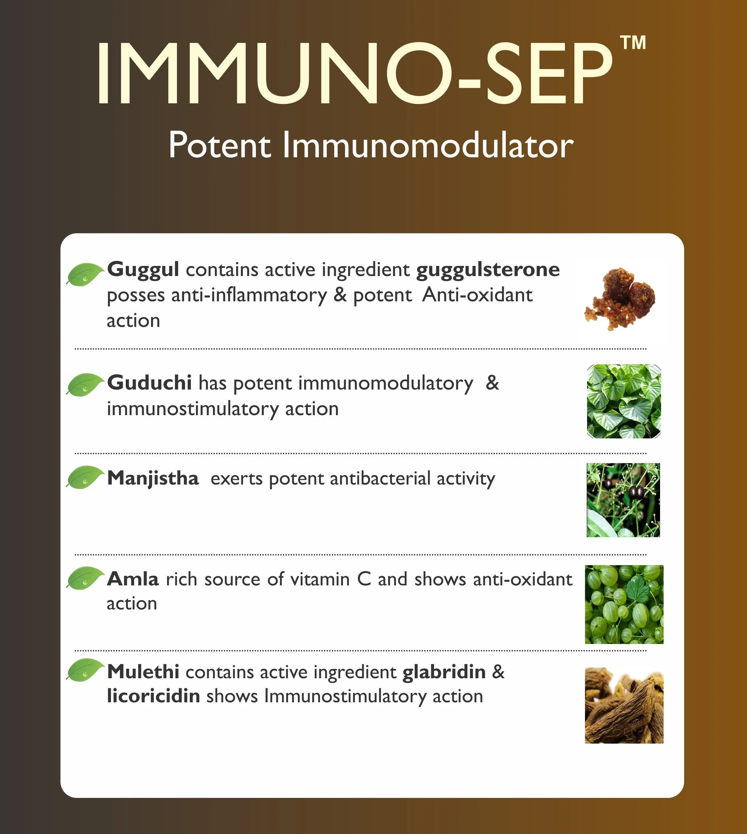 Immuno-sep Tablets | A Natural Immunity Booster With Goodness of Giloy, Amla, Mulethi & Manjistha | Supports in Respiratory Health &URTI and LRTI | Builds Immunity & Fights Against Allergies