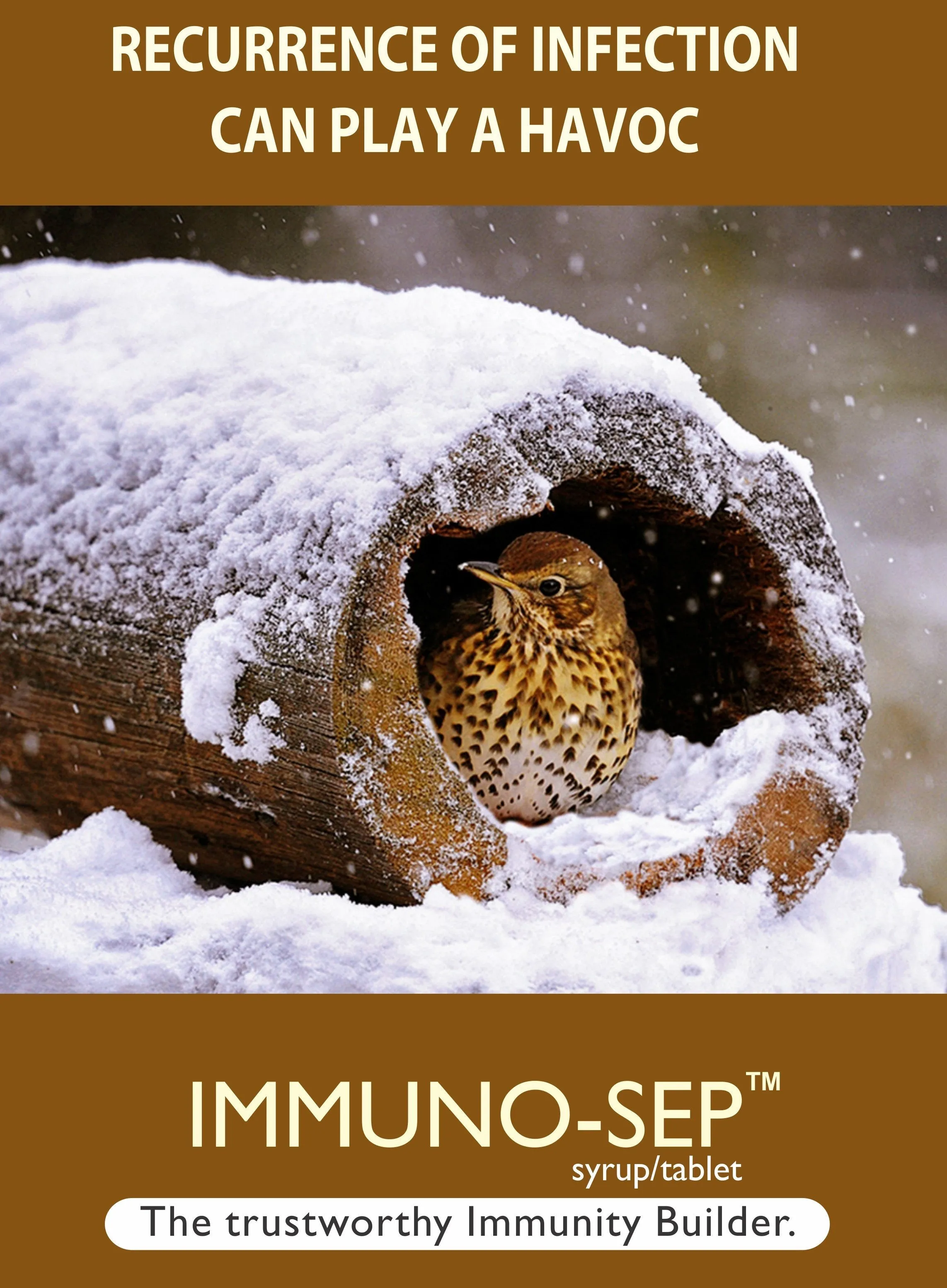 Immuno-sep Tablets | A Natural Immunity Booster With Goodness of Giloy, Amla, Mulethi & Manjistha | Supports in Respiratory Health &URTI and LRTI | Builds Immunity & Fights Against Allergies
