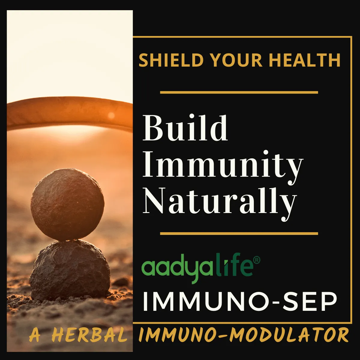 Immuno-sep Tablets | A Natural Immunity Booster With Goodness of Giloy, Amla, Mulethi & Manjistha | Supports in Respiratory Health &URTI and LRTI | Builds Immunity & Fights Against Allergies