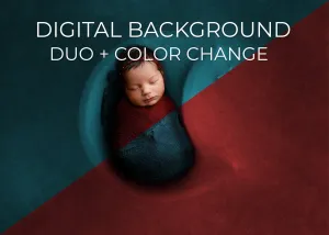 Impressions Moon Shapes Duo (Ana Brandt Digital)