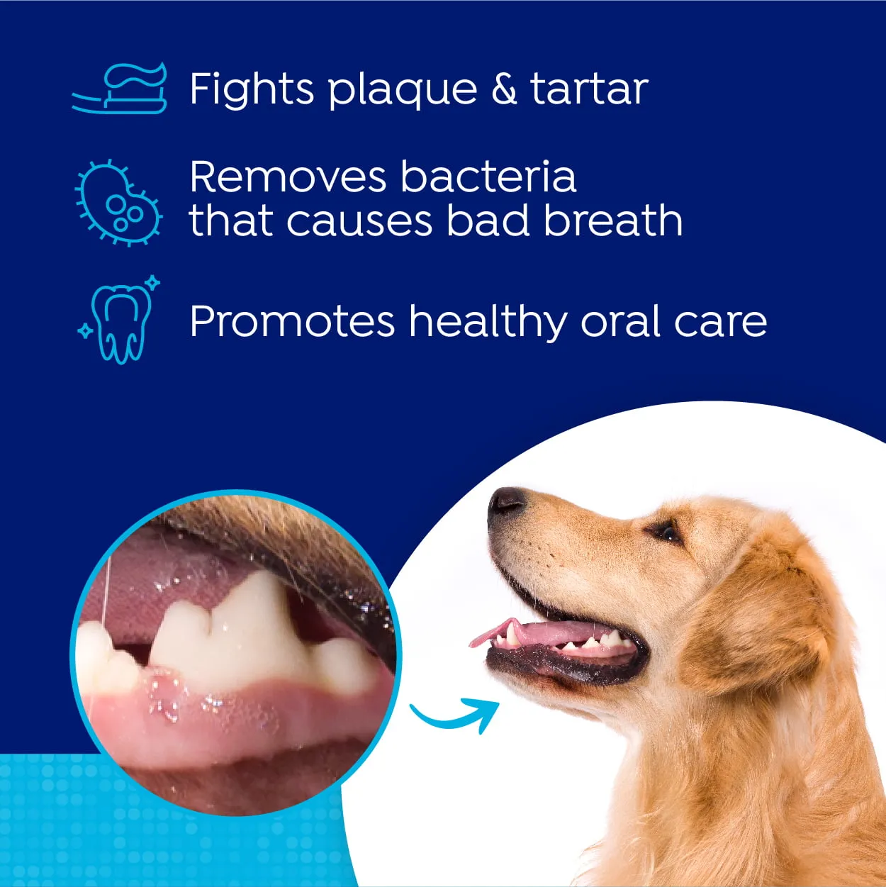 Naturel Promise Fresh Dental Dog Breath Freshener Water Additive for Dogs, 16 oz