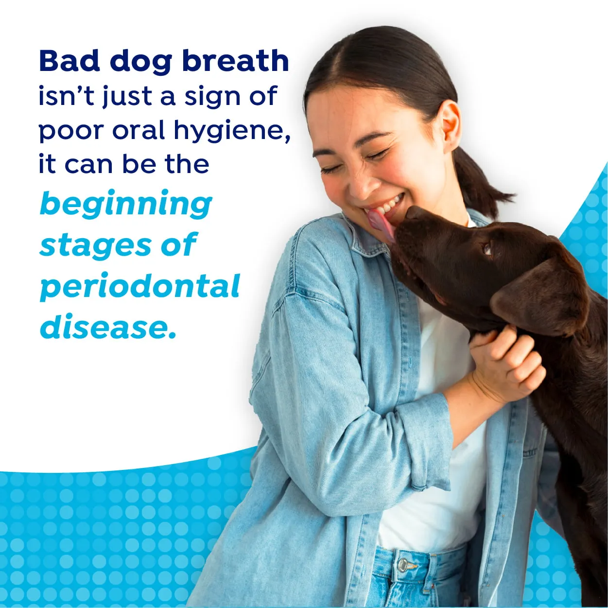 Naturel Promise Fresh Dental Dog Breath Freshener Water Additive for Dogs, 16 oz