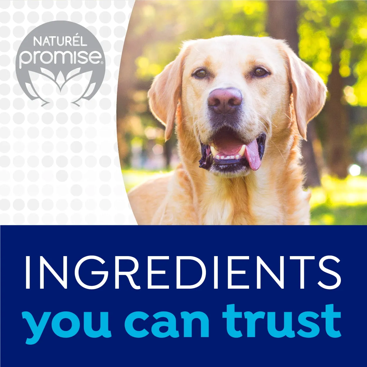 Naturel Promise Fresh Dental Dog Breath Freshener Water Additive for Dogs, 16 oz