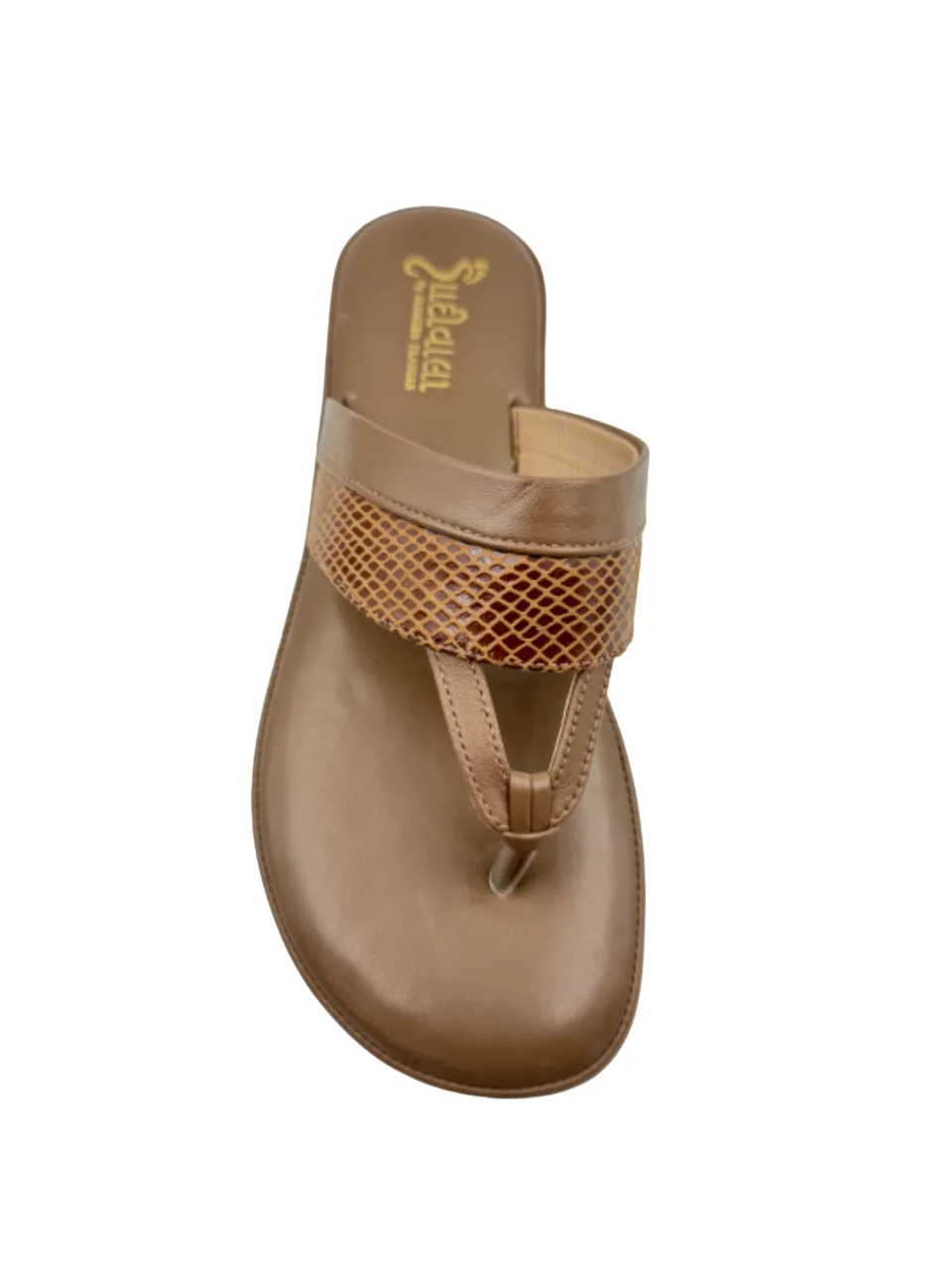 Ortho Evergreen Gaadiwala GD 11