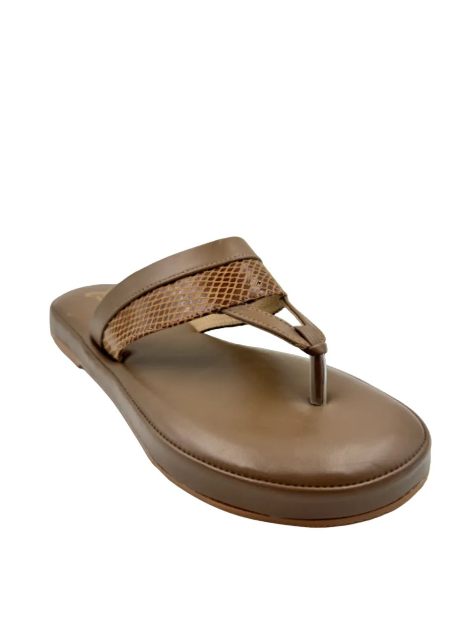 Ortho Evergreen Gaadiwala GD 11