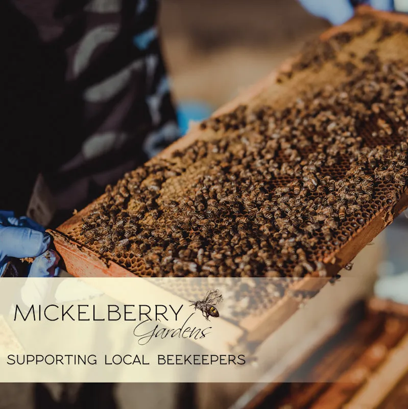Propolis Tincture