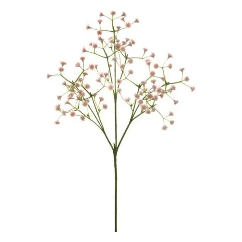 "Baby Breath" Pink £2.25