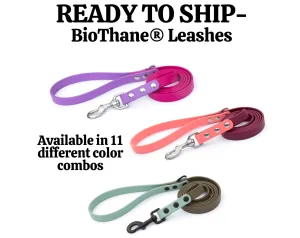 READY TO SHIP 5ft BioThane® Leashes