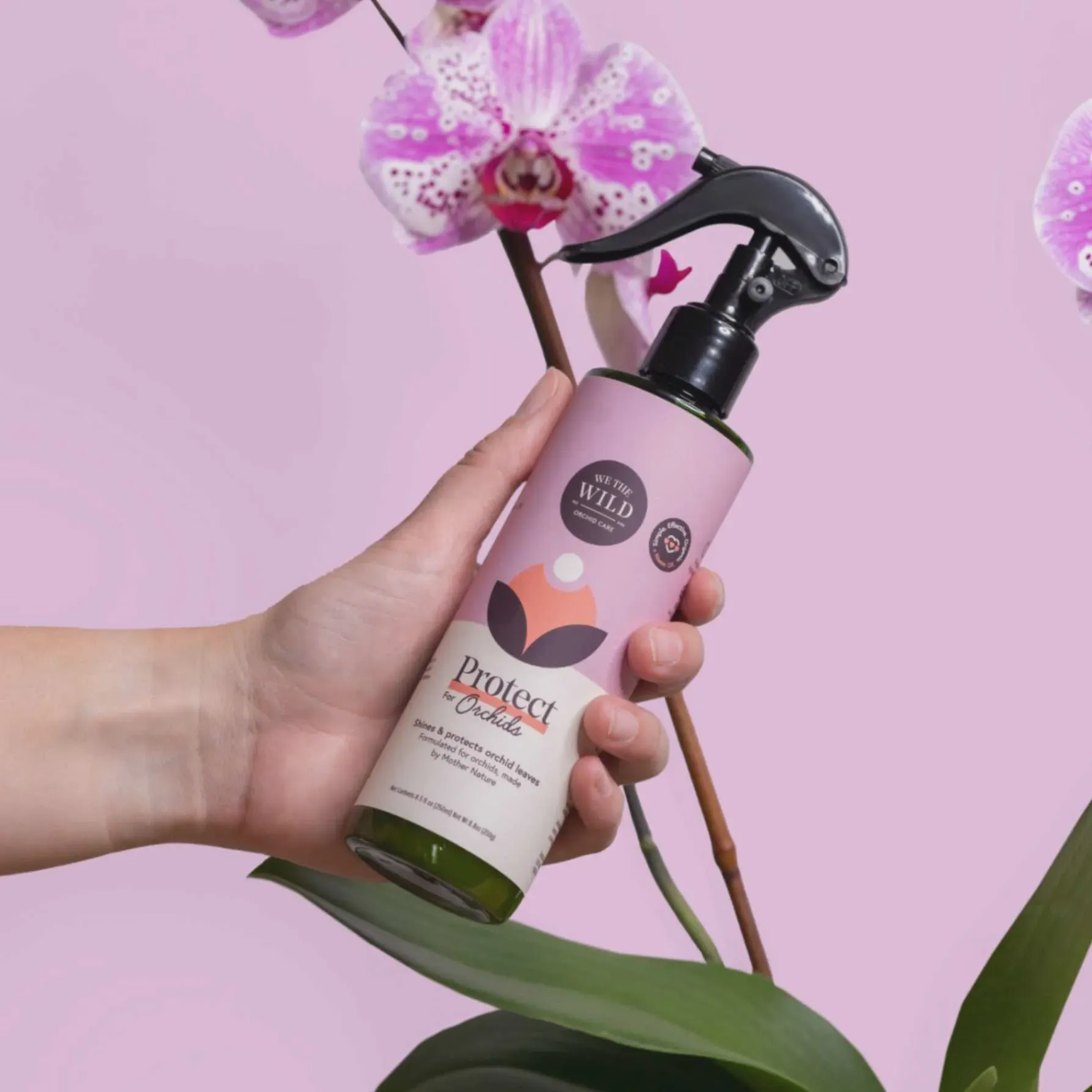 We the Wild – Protect for Orchids