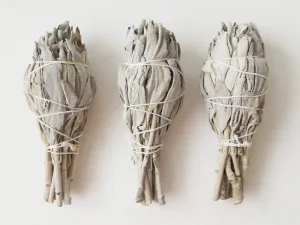 White Sage wand | 4 inch