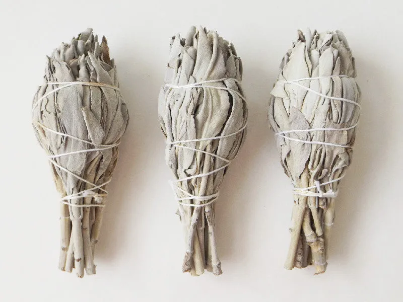White Sage wand | 4 inch